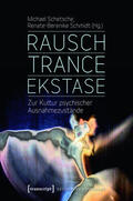 Schetsche / Schmidt |  Rausch - Trance - Ekstase | eBook | Sack Fachmedien