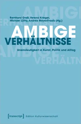 Groß / Krieger / Lüthy |  Ambige Verhältnisse | eBook | Sack Fachmedien