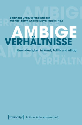 Groß / Krieger / Lüthy | Ambige Verhältnisse | E-Book | sack.de