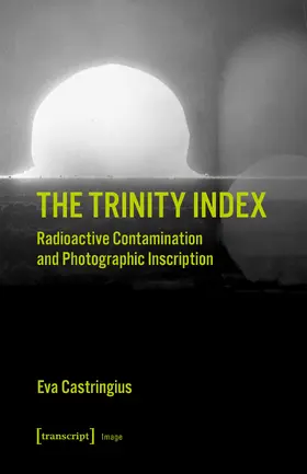Castringius |  The Trinity Index | eBook | Sack Fachmedien
