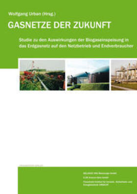 Berger / Bothendorf / Klinkert | Gasnetze der Zukunft | Buch | 978-3-8396-0190-7 | sack.de