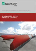 Faulstich / Görg / Hahn |  Windenergiereport Deutschland 2013 | Buch |  Sack Fachmedien