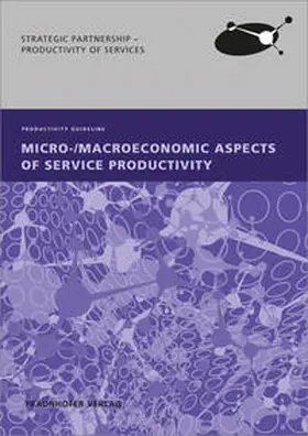 Hipp / Müller / Ganz |  Micro-/Macroeconomic Aspects of Service Productivity | Buch |  Sack Fachmedien