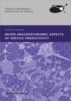 Hipp / Müller / Ganz | Micro-/Macroeconomic Aspects of Service Productivity | Buch | 978-3-8396-0719-0 | sack.de