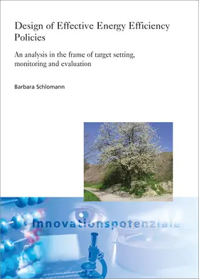 Schlomann / Fraunhofer ISI, Karlsruhe |  Design of Effective Energy Efficiency Policies | Buch |  Sack Fachmedien