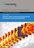 Michl / Fraunhofer ISE, Freiburg / Brsg. |  Material Limits of Multicrystalline Silicon in Advanced Solar Cell Processing | Buch |  Sack Fachmedien