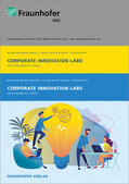 Stiefel / Rief / Bauer |  Corporate Innovation Labs / Corporate Innovation Labs | Buch |  Sack Fachmedien
