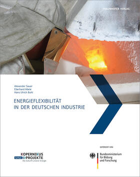 Sauer / Abele / Buhl |  Energieflexibilität in der deutschen Industrie | Buch |  Sack Fachmedien