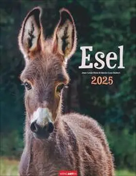  Esel Kalender 2025 | Sonstiges |  Sack Fachmedien