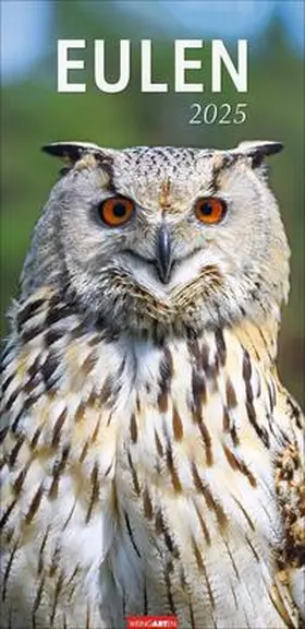 Eulen Kalender 2025 | Sonstiges | 978-3-8399-0076-5 | www.sack.de