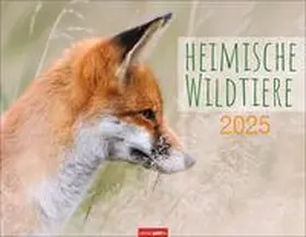  Heimische Wildtiere Kalender 2025 | Sonstiges |  Sack Fachmedien