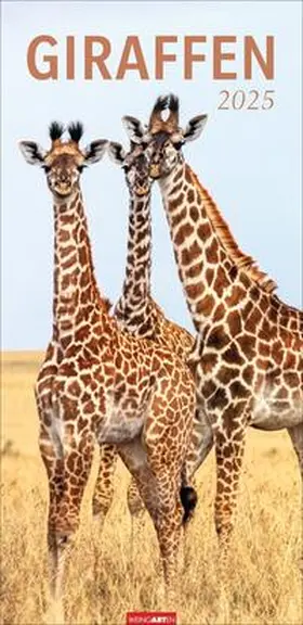 Giraffen Kalender 2025 | Sonstiges | 978-3-8399-0139-7 | www.sack.de