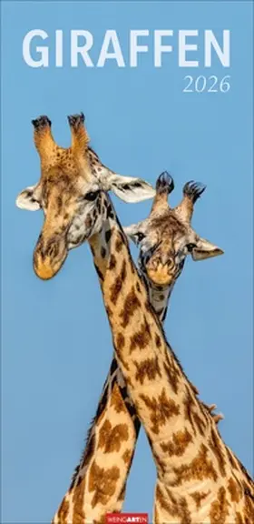  Giraffen Kalender 2026 | Sonstiges |  Sack Fachmedien