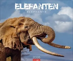  Elefanten Kalender 2026 | Sonstiges |  Sack Fachmedien