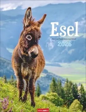  Esel Kalender 2026 | Sonstiges |  Sack Fachmedien