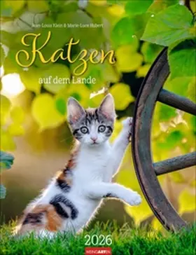  Katzen auf dem Lande Kalender 2026 | Sonstiges |  Sack Fachmedien