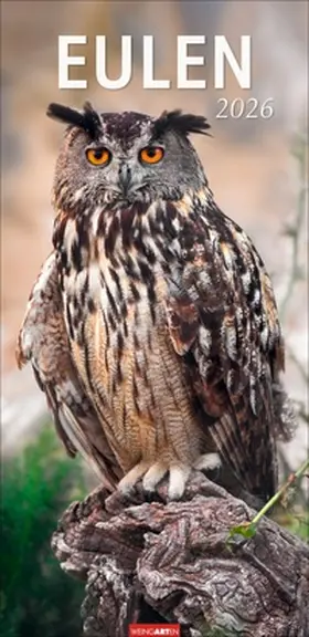  Eulen Kalender 2026 | Sonstiges |  Sack Fachmedien