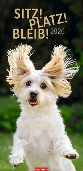  Sitz! Platz! Bleib! Kalender 2026 | Sonstiges |  Sack Fachmedien