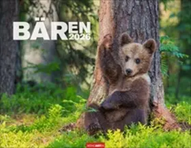  Bären Kalender 2026 | Sonstiges |  Sack Fachmedien