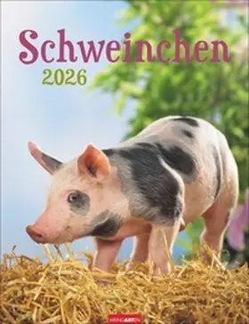  Schweinchen Kalender 2026 | Sonstiges |  Sack Fachmedien
