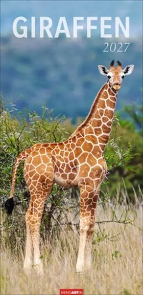  Giraffen Kalender 2027 | Sonstiges |  Sack Fachmedien