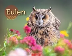  Eulen Kalender 2027 | Sonstiges |  Sack Fachmedien