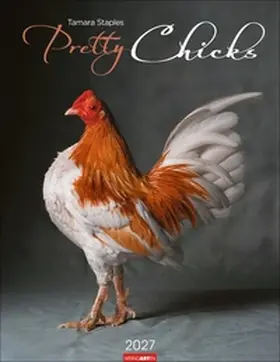  Pretty Chicks Kalender 2027 | Sonstiges |  Sack Fachmedien