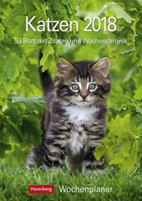 Katzen - Kalender 2018 | Sonstiges | 978-3-8400-1661-5 | www.sack.de