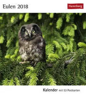 Eulen - Kalender 2018 | Sonstiges | 978-3-8400-1765-0 | www.sack.de
