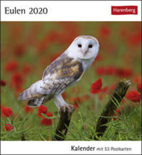 Harenberg |  Eulen 2020 | Sonstiges |  Sack Fachmedien