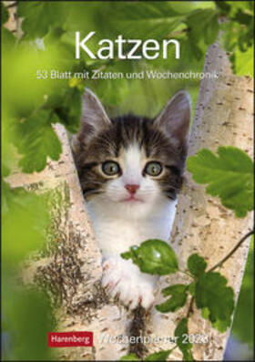 Harenberg |  Katzen 2020 Wochenplaner | Sonstiges |  Sack Fachmedien