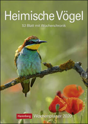 Harenberg |  Heimische Vögel  - Kalender 2020 | Sonstiges |  Sack Fachmedien