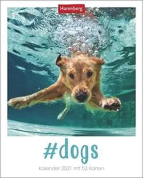 Harenberg |  #dogs Kalender 2021 | Sonstiges |  Sack Fachmedien