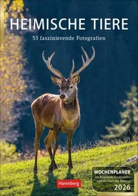 Hattstein |  Heimische Tiere Wochenplaner 2026 - 53 faszinierende Fotografien | Sonstiges |  Sack Fachmedien