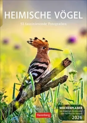 Hattstein |  Heimische Vögel Wochenplaner 2026 - 53 faszinierende Fotografien | Sonstiges |  Sack Fachmedien