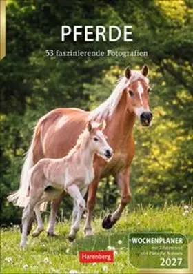  Pferde Wochenplaner 2027 - 53 faszinierende Fotografien | Sonstiges |  Sack Fachmedien