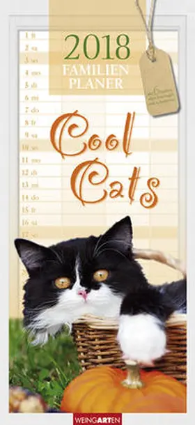 Familienplaner Cool Cats - Kalender 2018 | Sonstiges | 978-3-8400-7019-8 | www.sack.de