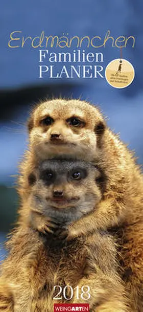 Familienplaner Erdmännchen - Kalender 2018 | Sonstiges | 978-3-8400-7049-5 | www.sack.de