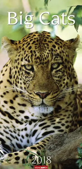 Big Cats - Kalender 2018 | Sonstiges | 978-3-8400-7112-6 | sack.de