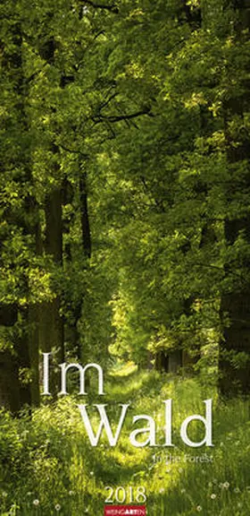 Im Wald - Kalender 2018 | Sonstiges | 978-3-8400-7116-4 | sack.de