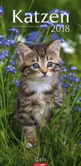 Klein / Hubert |  Katzen - Kalender 2018 | Sonstiges |  Sack Fachmedien