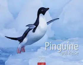 Klein / Hubert |  Pinguine auf Reise - Kalender 2018 | Sonstiges |  Sack Fachmedien