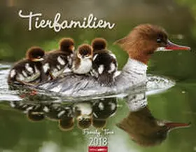 Tierfamilien - Kalender 2018 | Sonstiges | 978-3-8400-7166-9 | www.sack.de