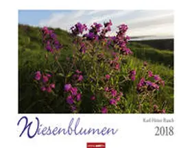 Raach |  Wiesenblumen - Kalender 2018 | Sonstiges |  Sack Fachmedien