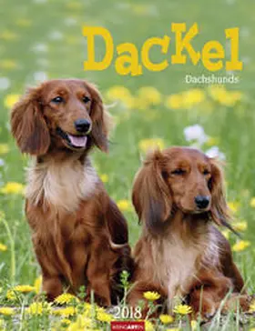 Dackel - Kalender 2018 | Sonstiges | 978-3-8400-7180-5 | www.sack.de
