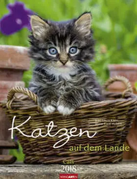Klein / Hubert |  Katzen auf dem Lande - Kalender 2018 | Sonstiges |  Sack Fachmedien