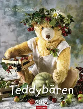 Schneiders / Hofmann |  Teddybären - Kalender 2018 | Sonstiges |  Sack Fachmedien