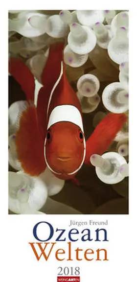 Freund |  Ozean Welten - Kalender 2018 | Sonstiges |  Sack Fachmedien