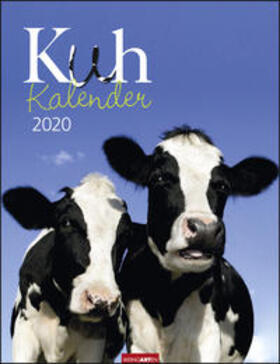 Klein / Hubert |  Kuh Kalender 2020 | Sonstiges |  Sack Fachmedien