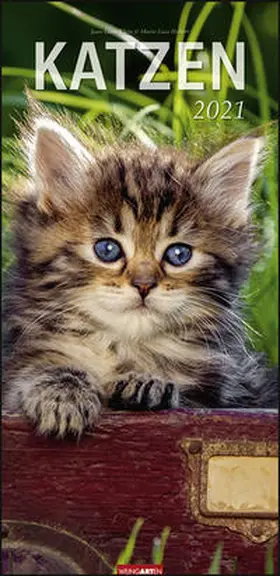 Weingarten / Hubert / Klein |  Katzen - Kalender 2021 | Sonstiges |  Sack Fachmedien